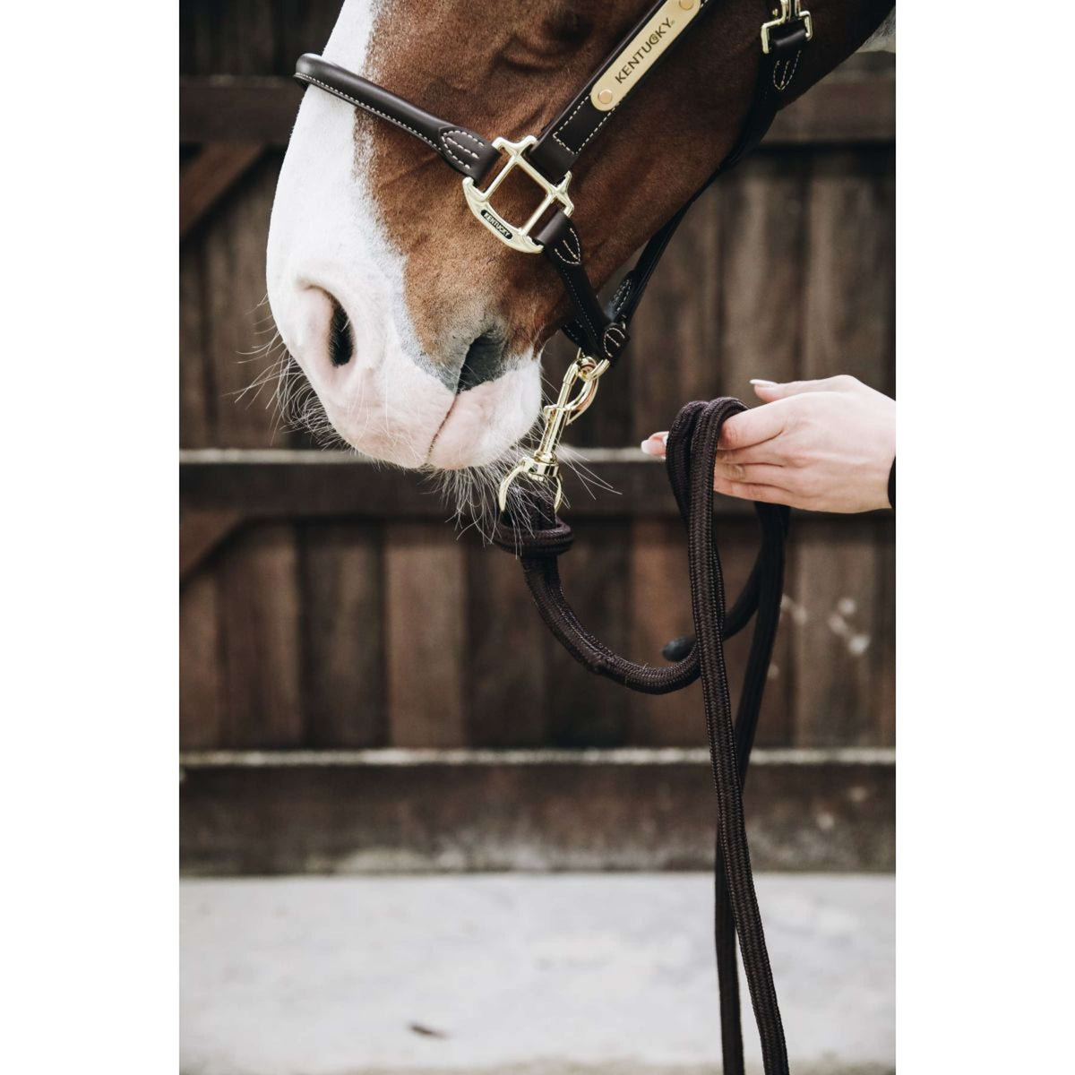 Kentucky Halstertouw Loop Brown