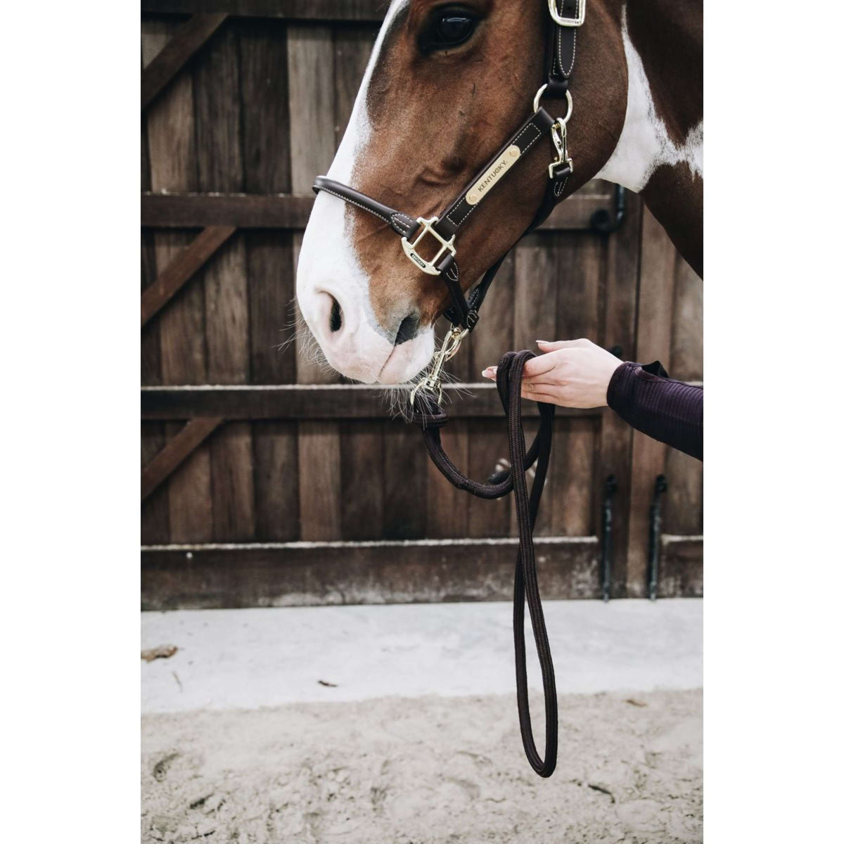 Kentucky Halstertouw Loop Brown