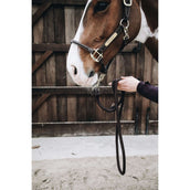 Kentucky Halstertouw Loop Brown