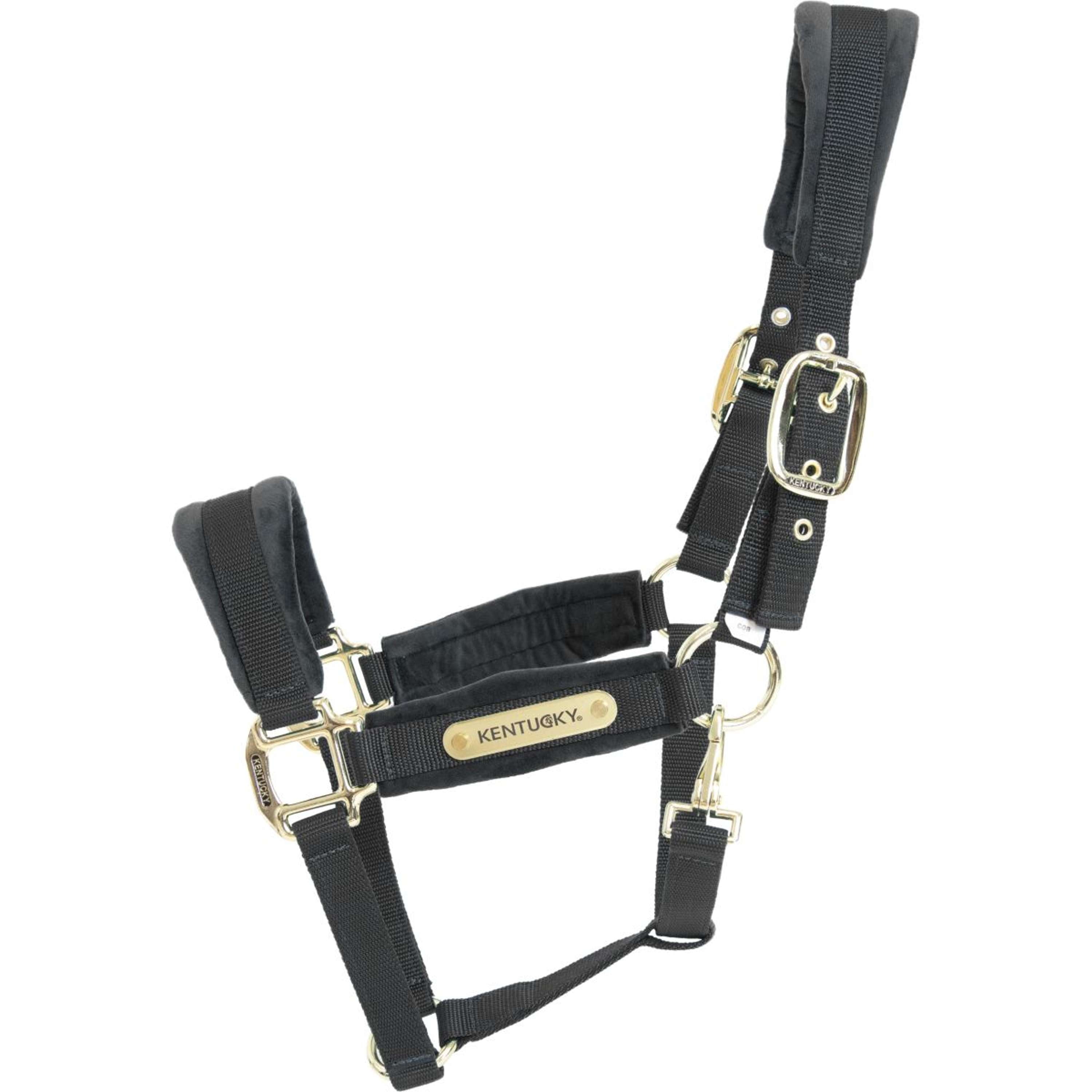 Kentucky Halster Velvet Zwart