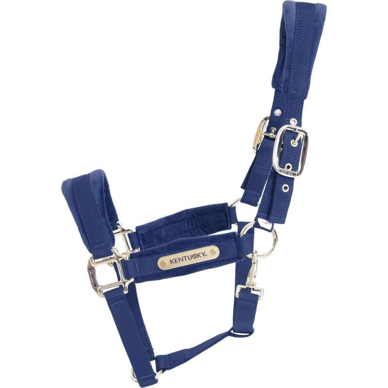 Kentucky Halster Velvet Navy