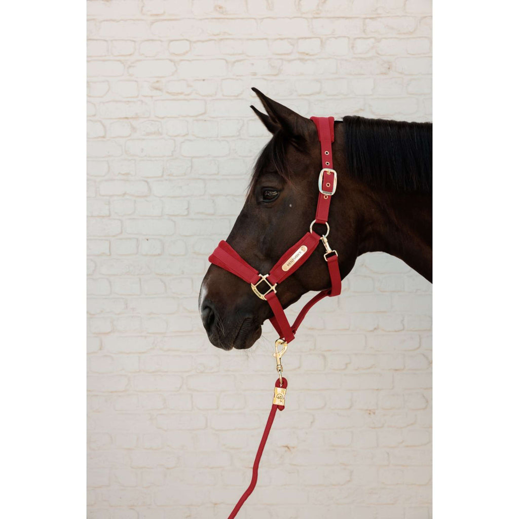 Kentucky Halster Velvet Rood