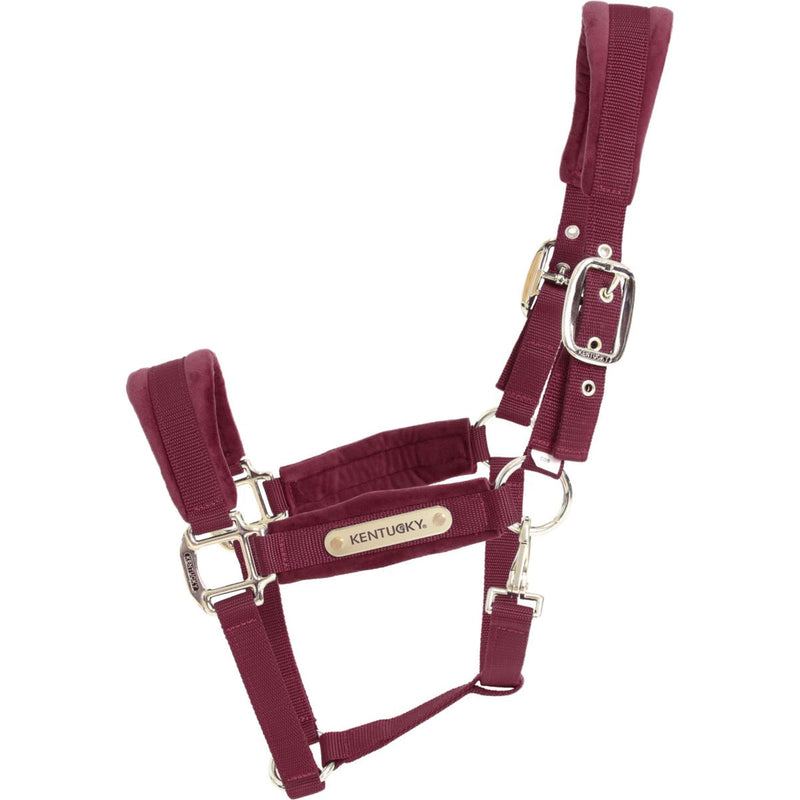 Kentucky Halster Velvet Bordeaux