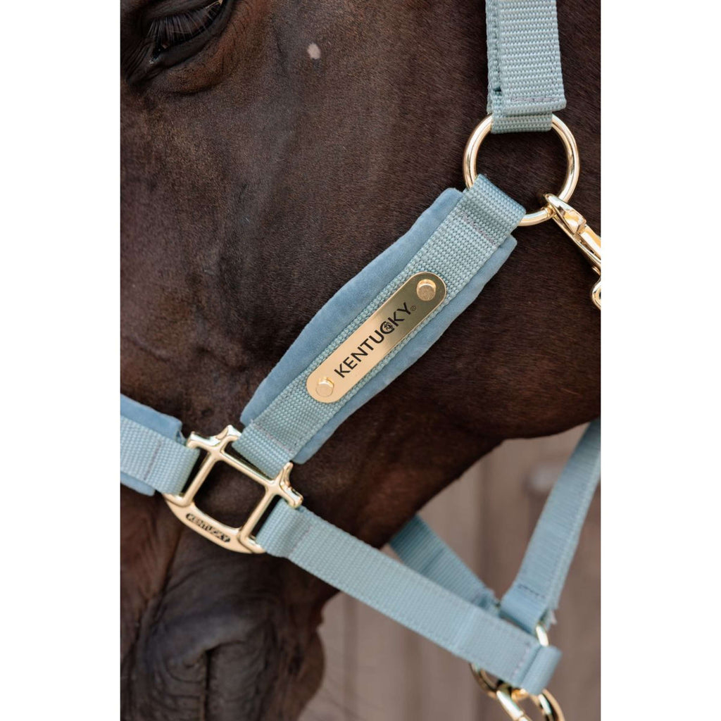 Kentucky Halster Velvet Lichtblauw