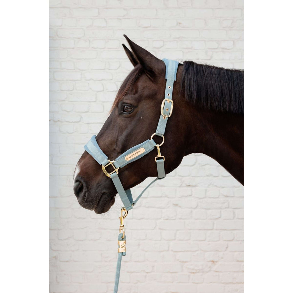 Kentucky Halster Velvet Lichtblauw