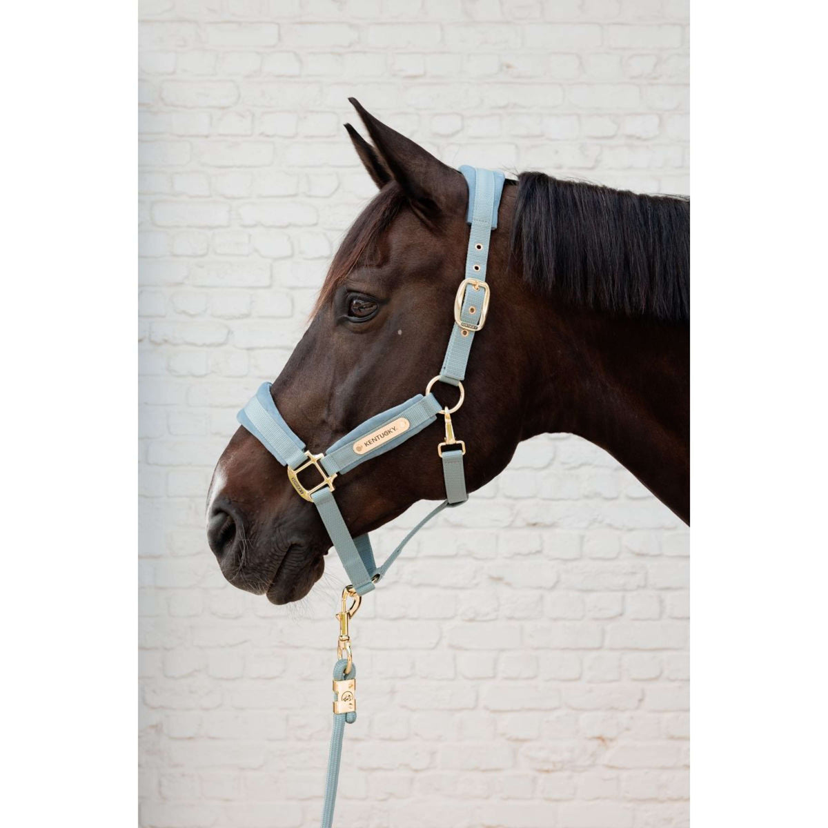 Kentucky Halster Velvet Lichtblauw