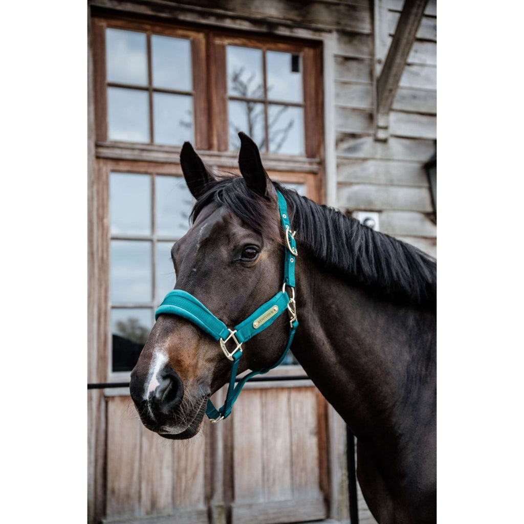 Kentucky Halster Velvet Emerald