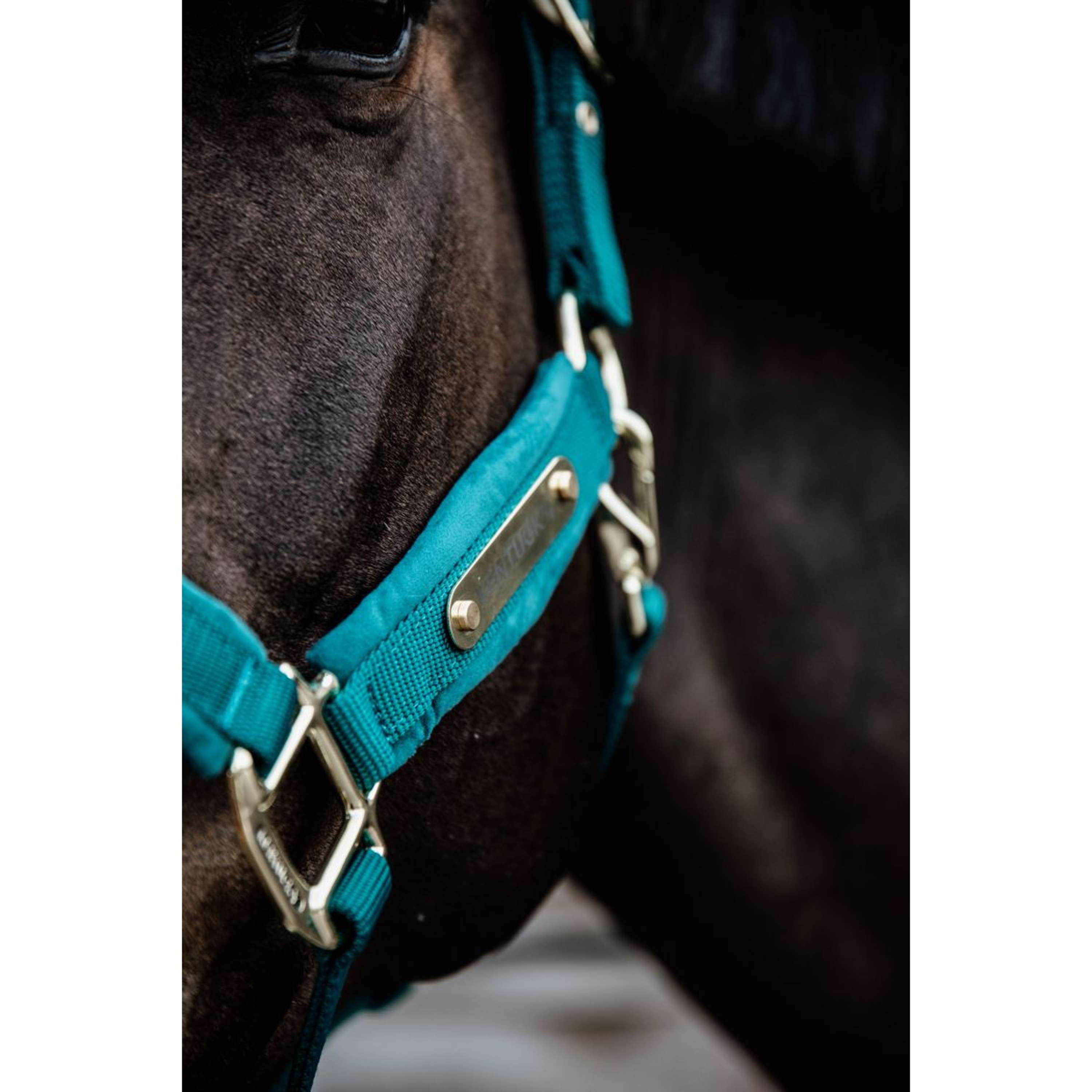 Kentucky Halster Velvet Emerald
