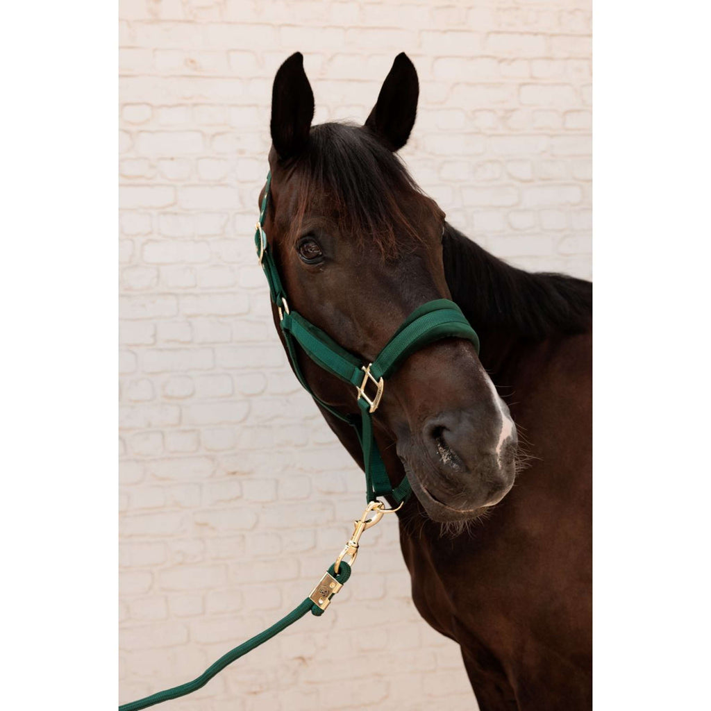 Kentucky Halstertouw Basic Pine Green