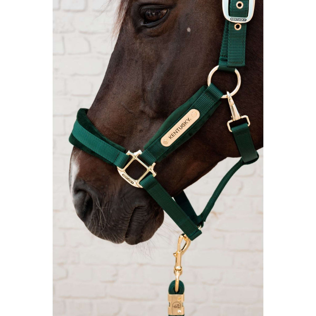 Kentucky Halster Velvet Pine Green