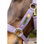 Kentucky Halster Velvet Paars