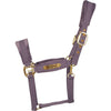 Kentucky Halster Velvet Paars
