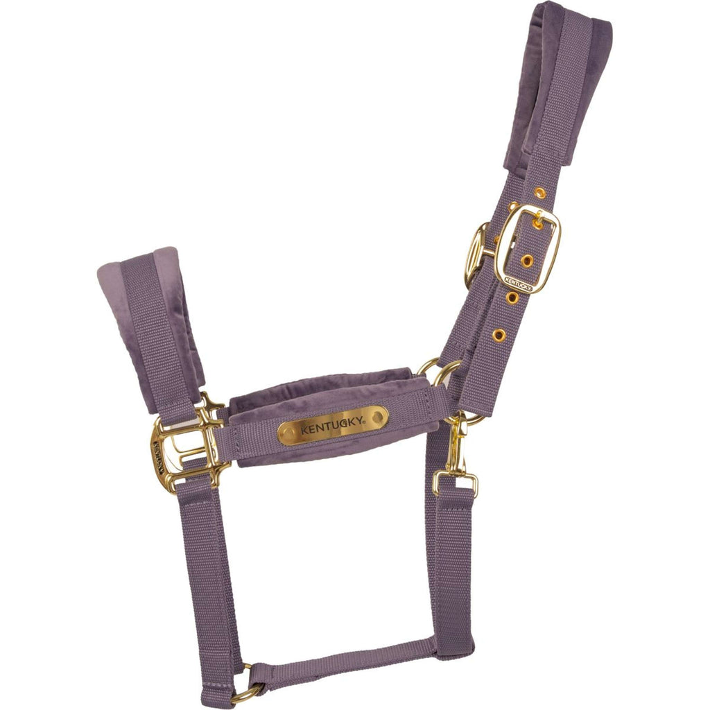 Kentucky Halster Velvet Paars