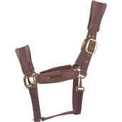 Kentucky Halster Velvet Lichtpaars