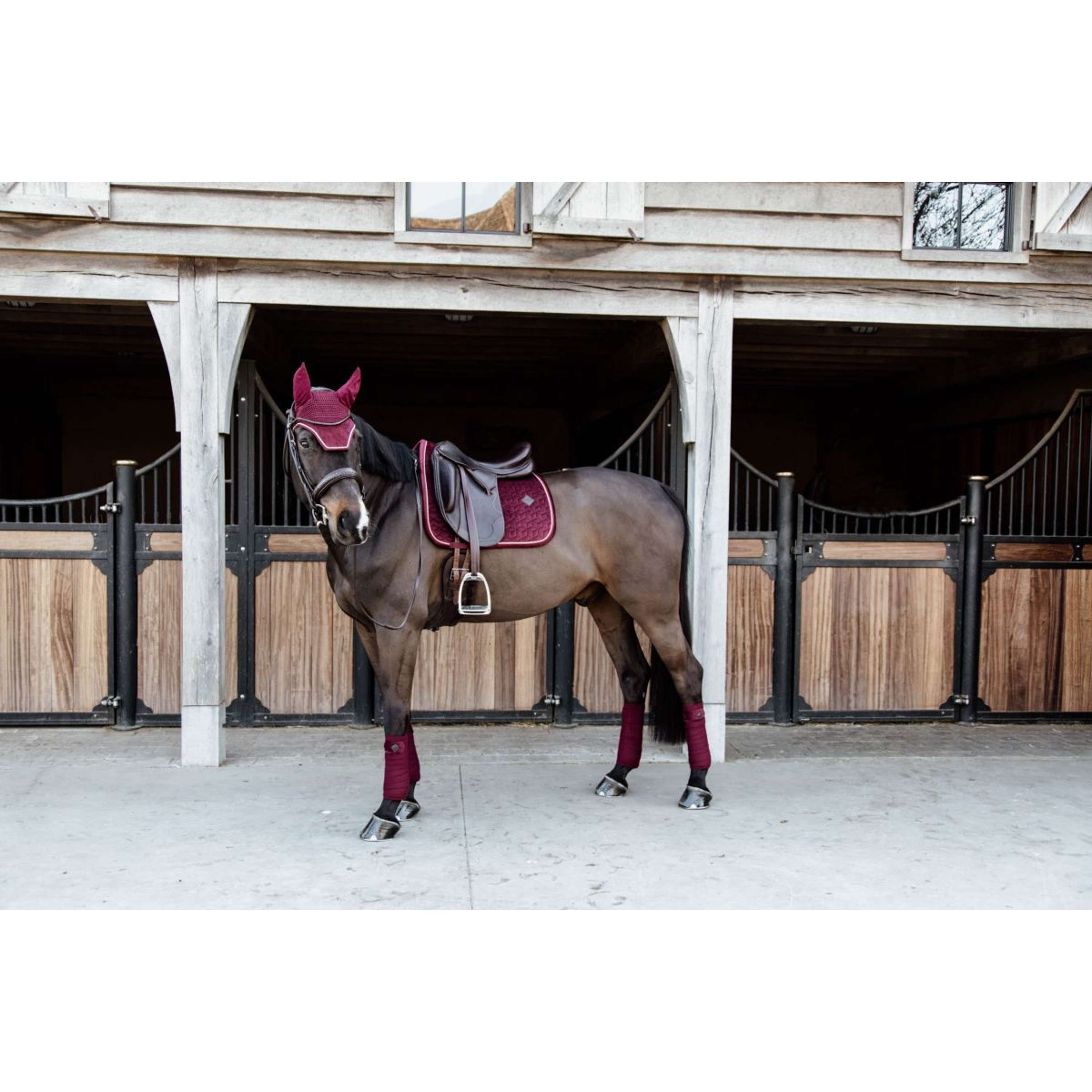 Kentucky Zadeldekje Velvet Dressuur Bordeaux Agradi nl Kentucky Zadeldekje Velvet Dressuur Bordeaux Agradi nl
