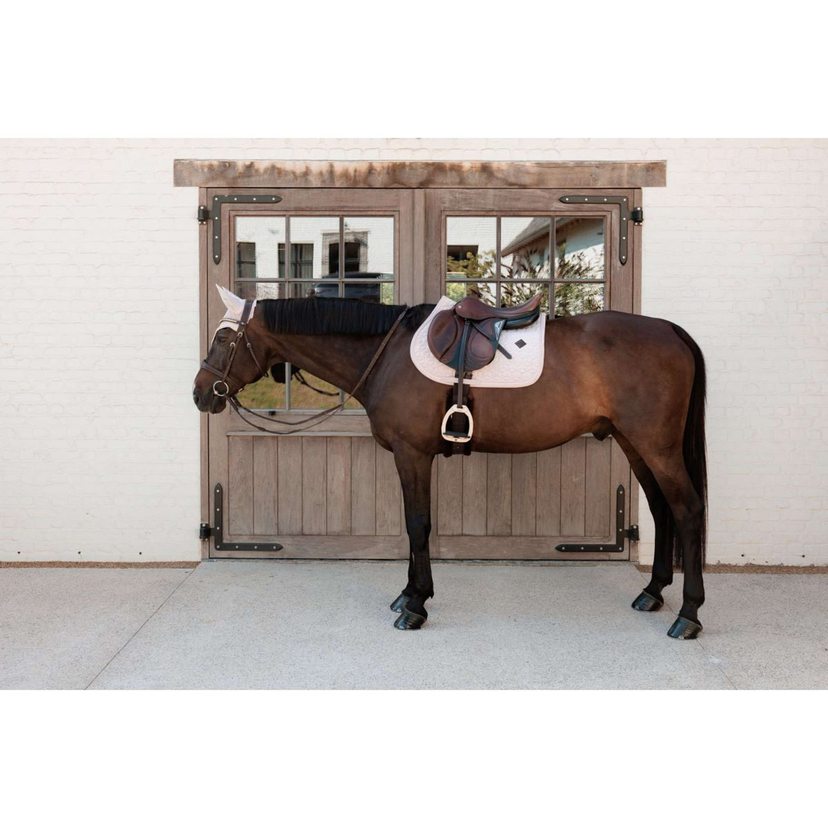 Kentucky Oornetje Wellington Velvet Soft Rose