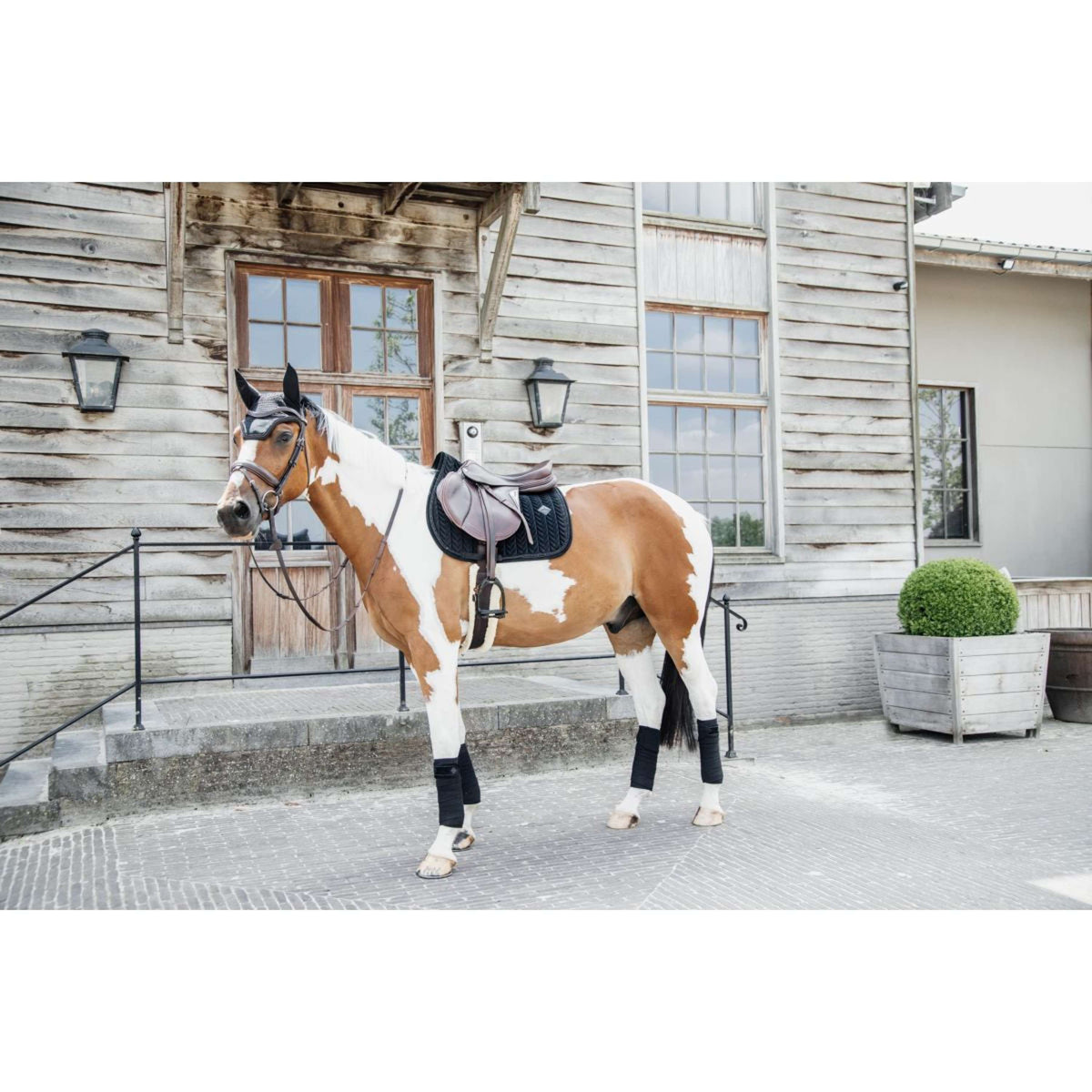 Kentucky Zadeldekje Velvet Pearls Springen Zwart