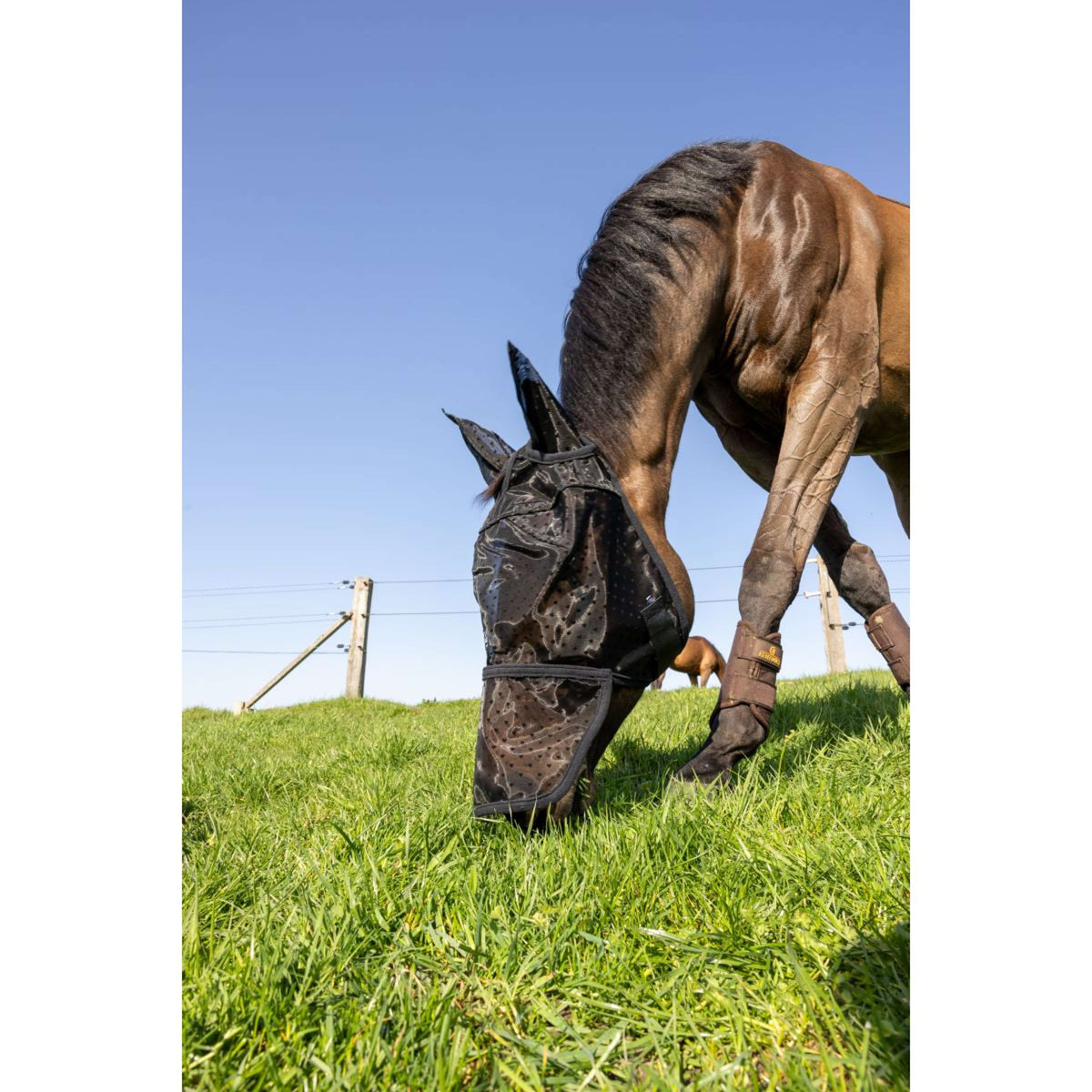 Kentucky Vliegenmasker Heart met Oren en Neus Zwart