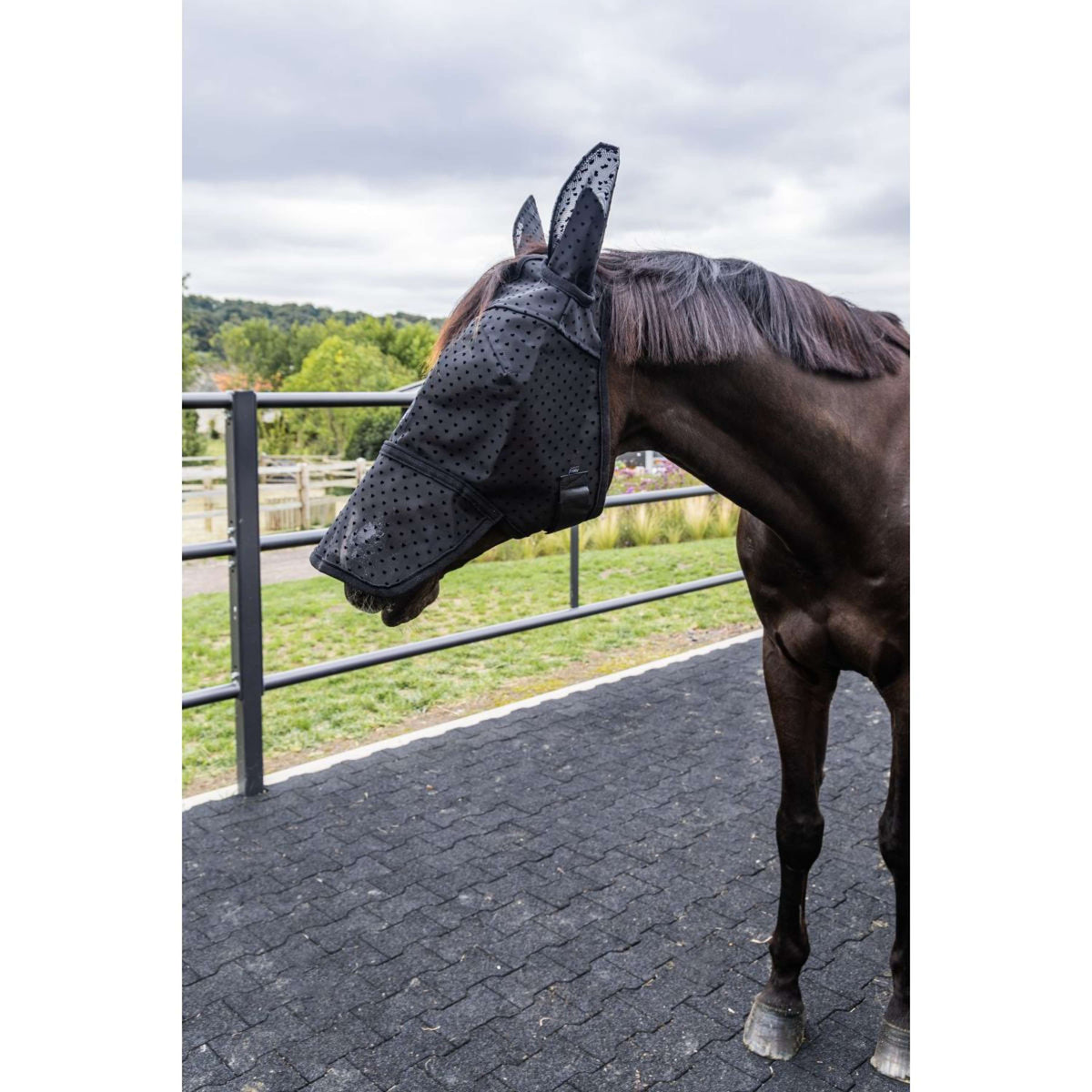 Kentucky Vliegenmasker Heart met Oren en Neus Zwart