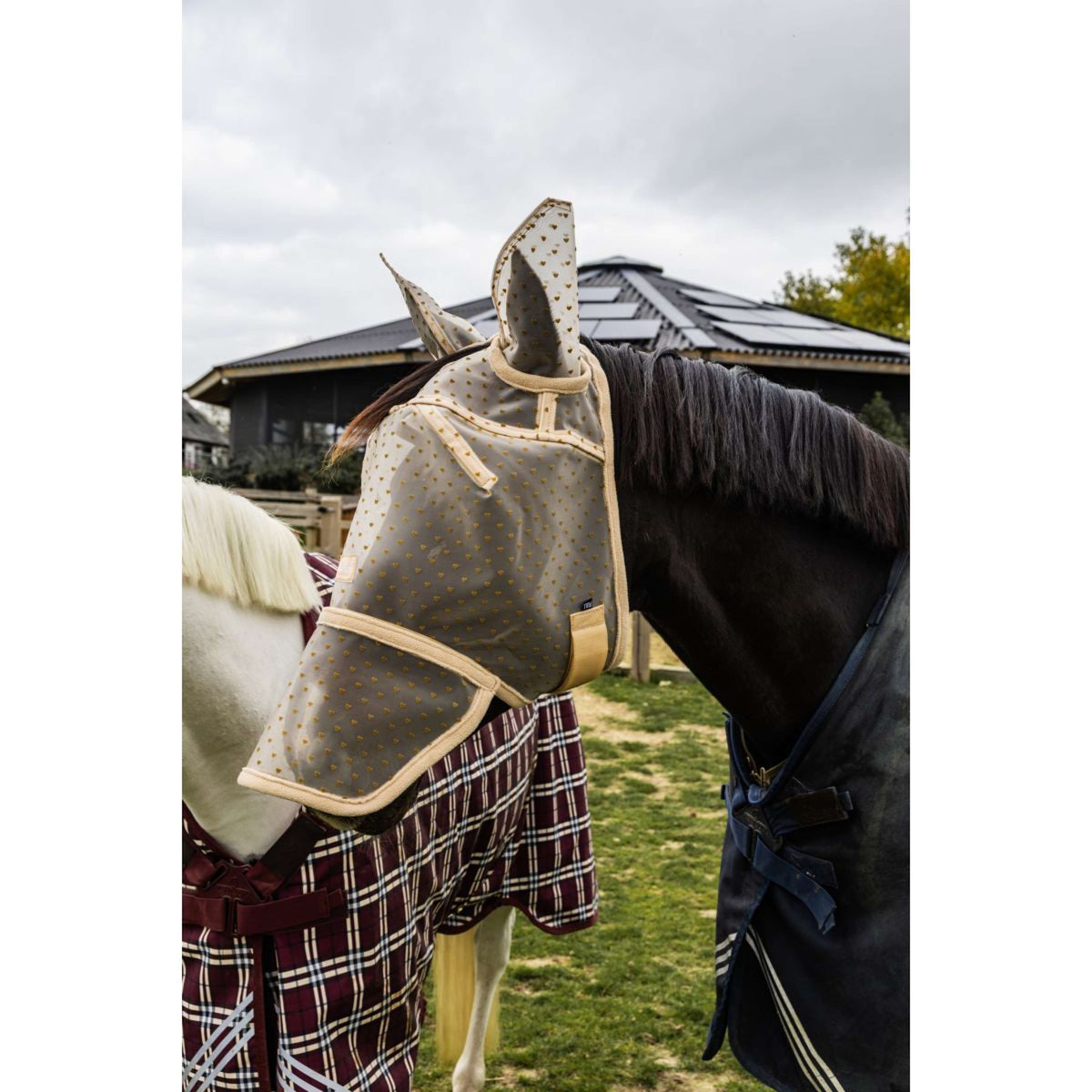 Kentucky Vliegenmasker Heart met Oren en Neus Beige