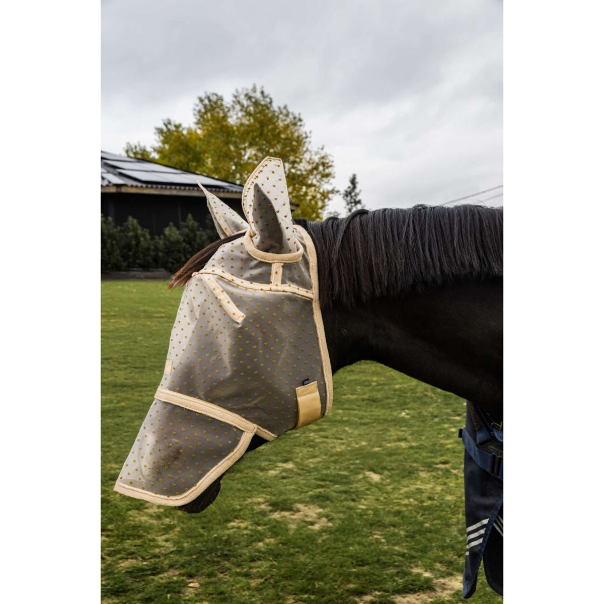 Kentucky Vliegenmasker Heart met Oren en Neus Beige