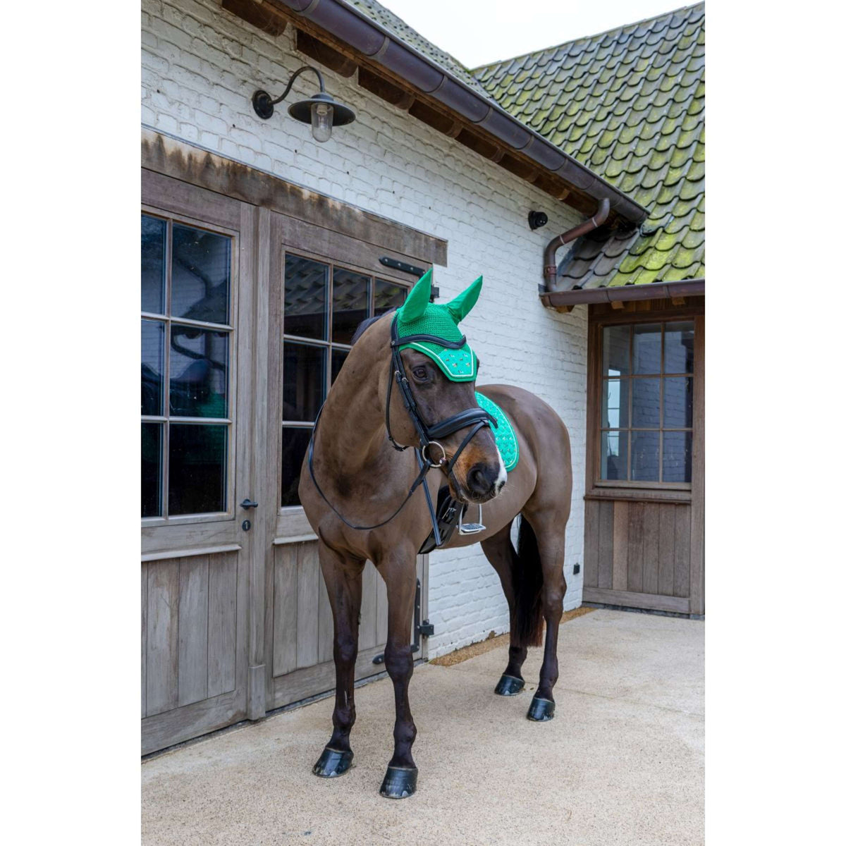 Kentucky Oornetje Wellington Velvet Horse Printing Groen