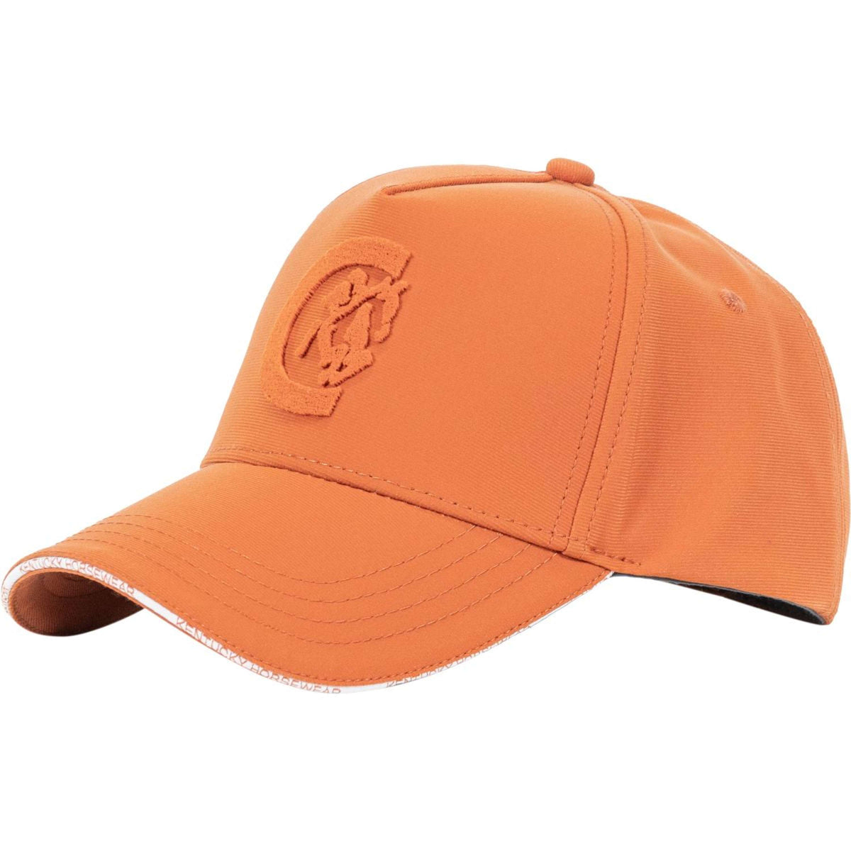 Kentucky Baseball Pet 3D Logo Rust Orange