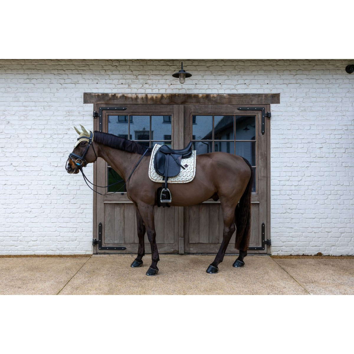 Kentucky Zadeldekje Velvet Horse Printing Dressuur Beige