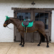Kentucky Zadeldekje Velvet Horse Printing Springen Groen