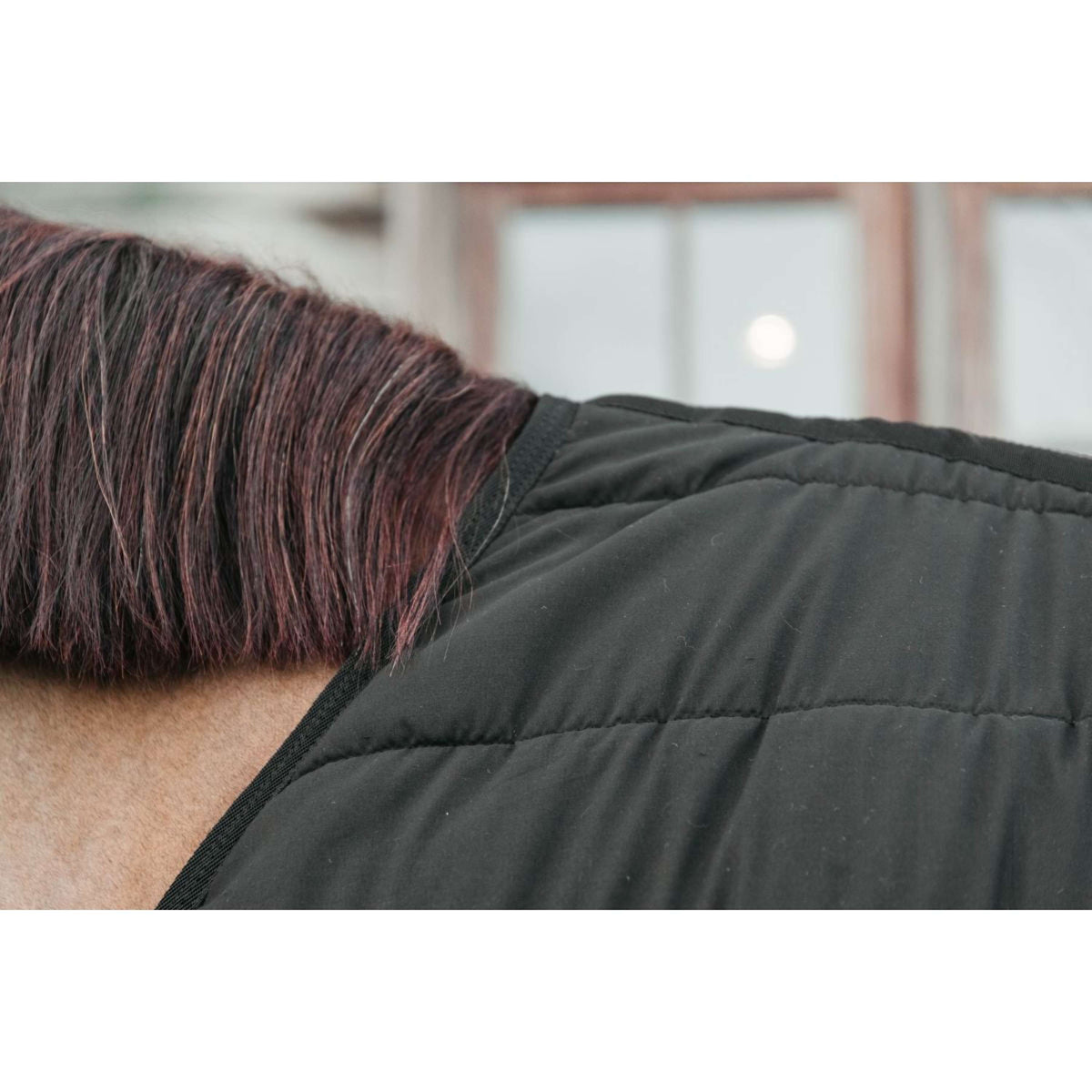 Kentucky Onderdeken Skin Friendly 300g Zwart