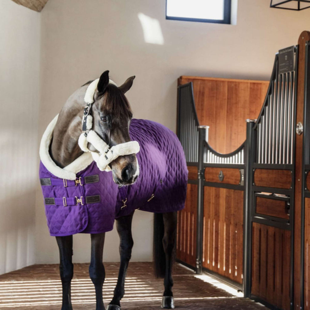 Kentucky Showdeken 160g Paars