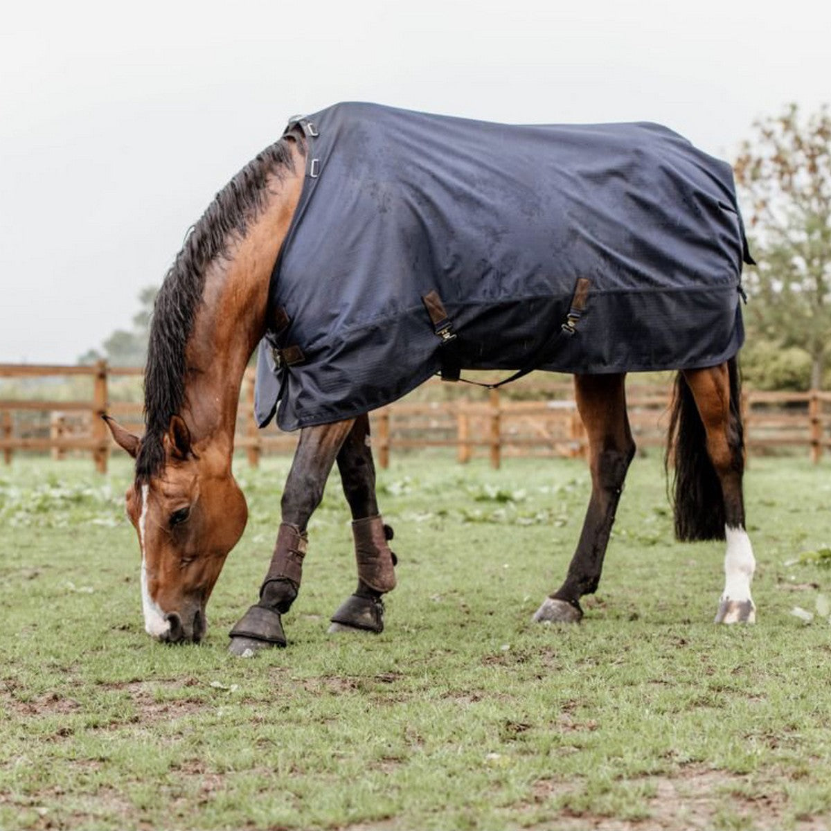 Kentucky Turnout Rug All Weather 300g Navy