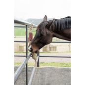 Grooming Deluxe by Kentucky Relax Horse Toy Wooden De-Stress