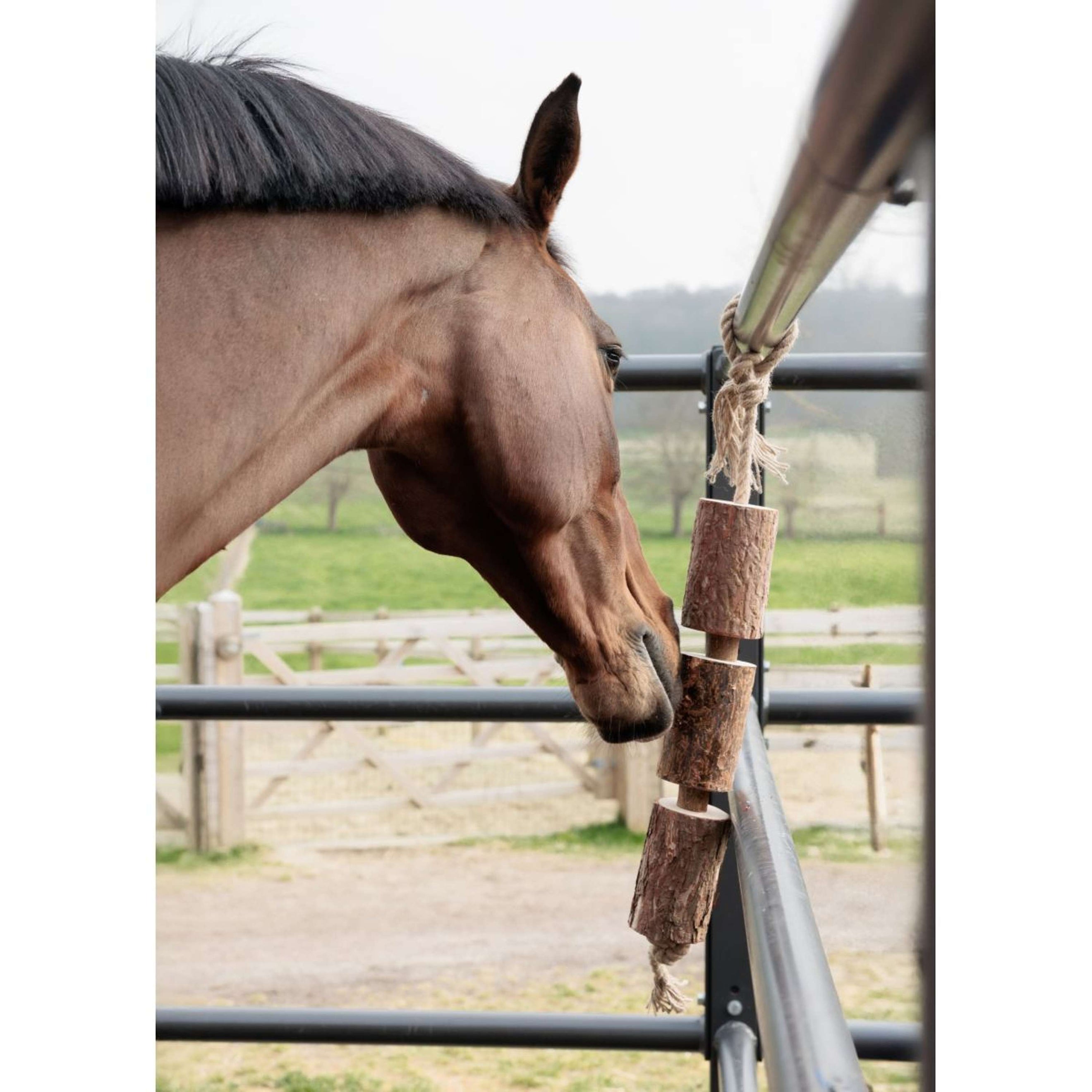 Grooming Deluxe by Kentucky Relax Horse Toy Wooden Made by Nature Grooming Deluxe by Kentucky Relax Horse Toy Wooden Made by Nature