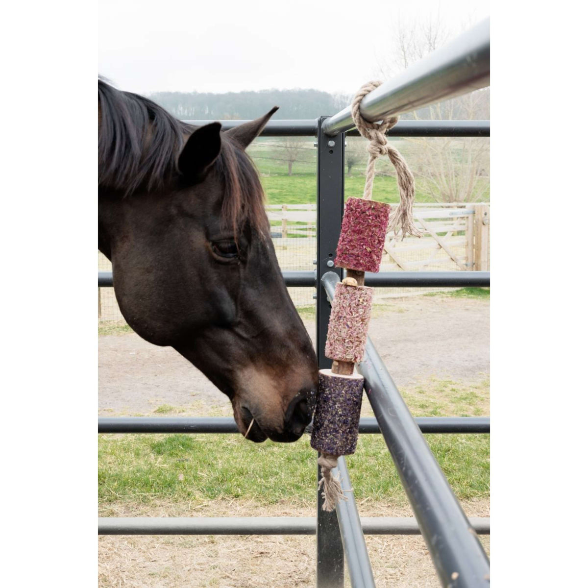 Grooming Deluxe by Kentucky Relax Horse Toy Wooden Unicorn Joy