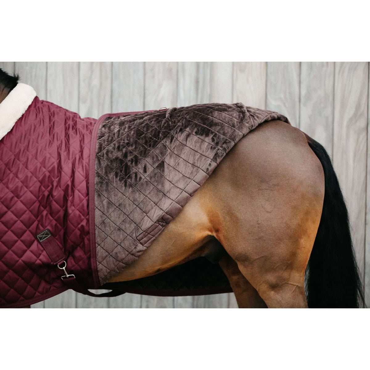 Kentucky Showdeken 160g Bordeaux