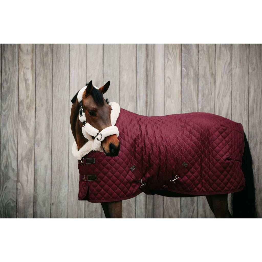 Kentucky Showdeken 160g Bordeaux