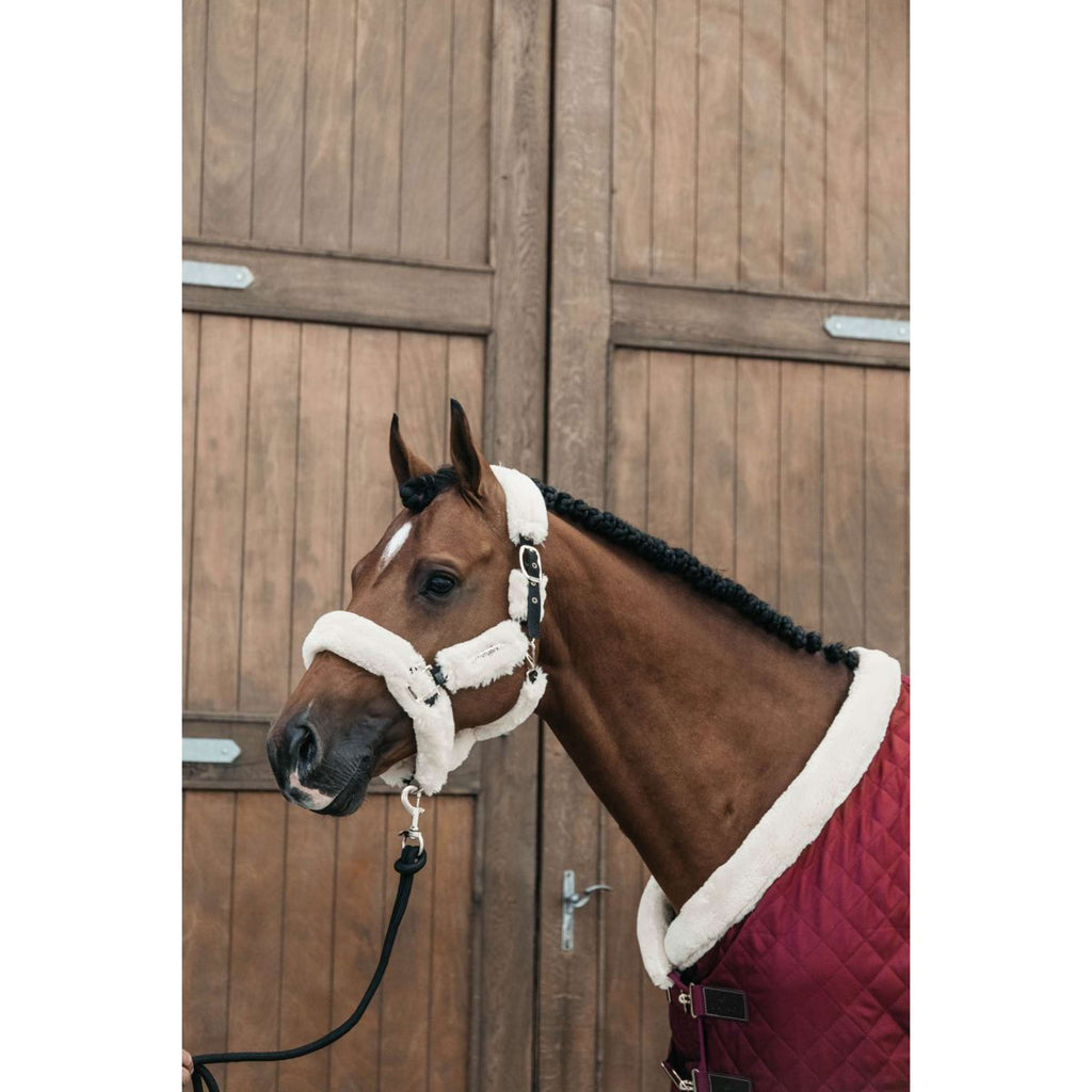 Kentucky Showdeken 160g Bordeaux
