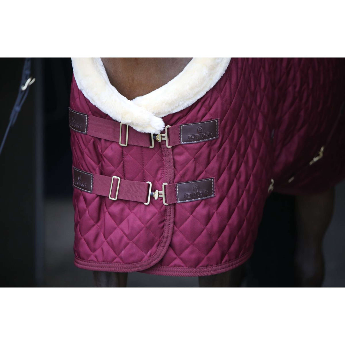 Kentucky Showdeken 160g Bordeaux