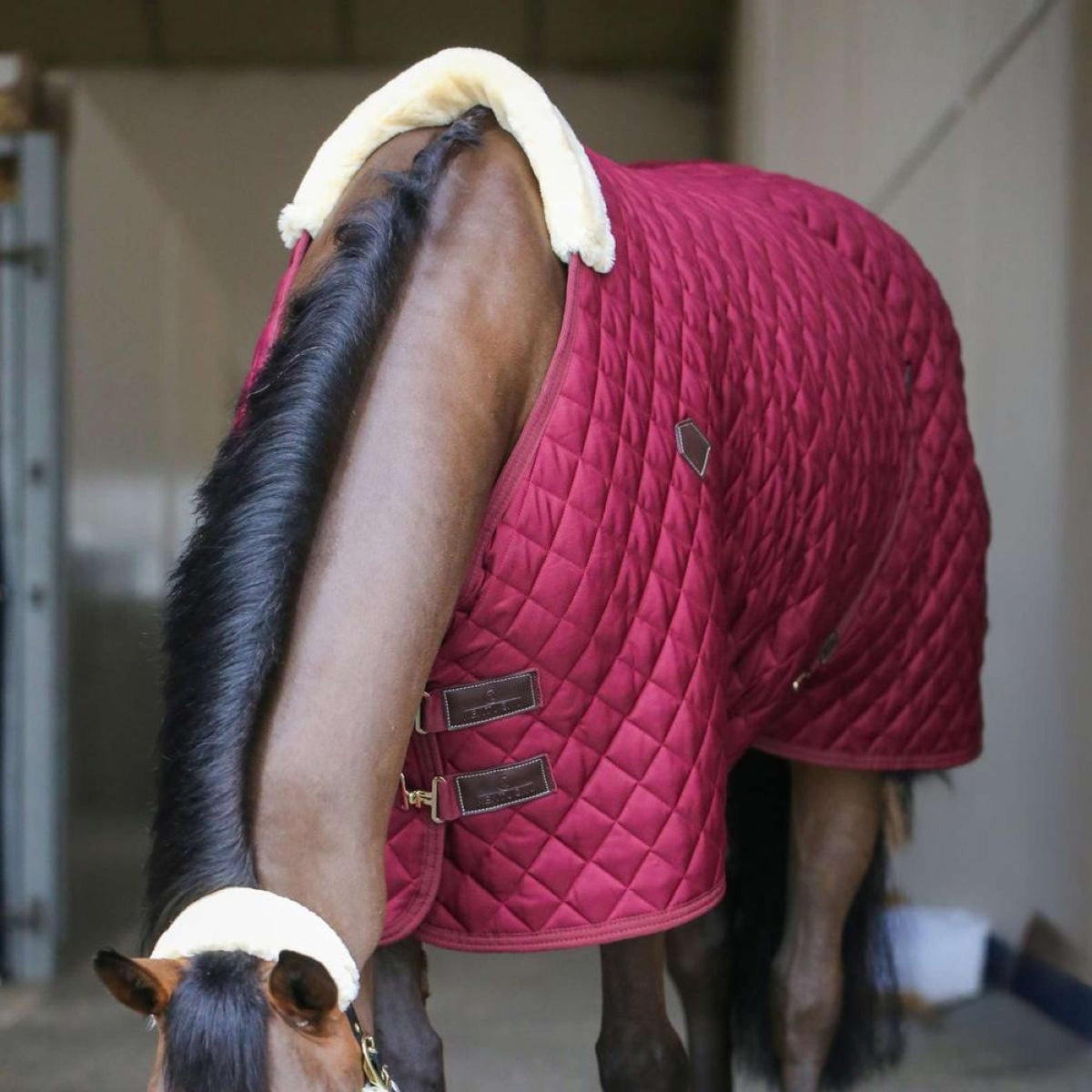 Kentucky Staldeken 400g Bordeaux