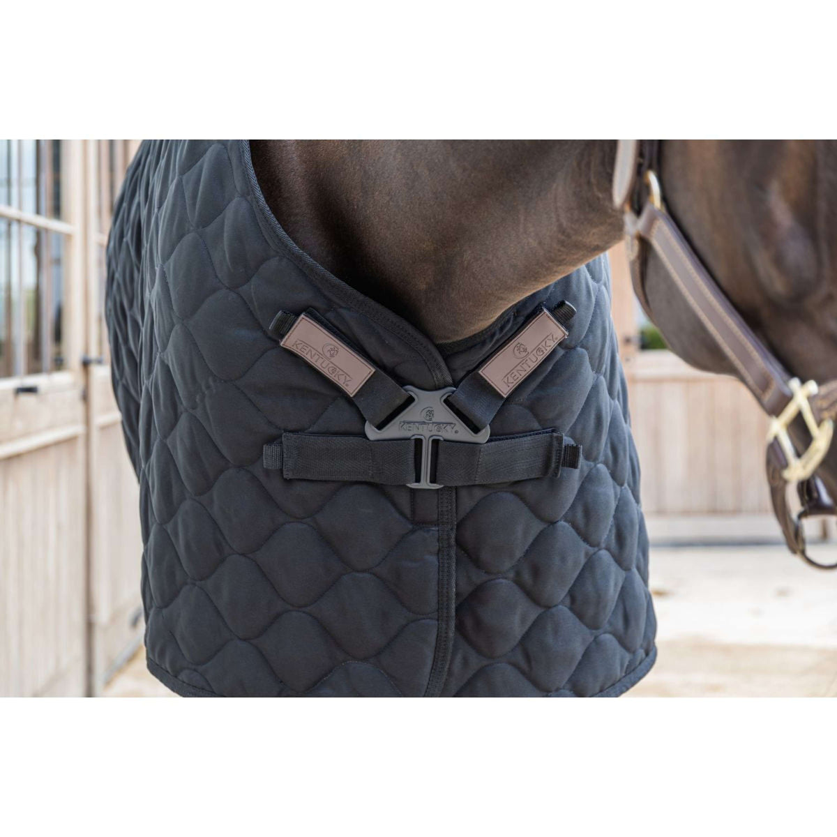 Kentucky Staldeken Comfort 100g Zwart