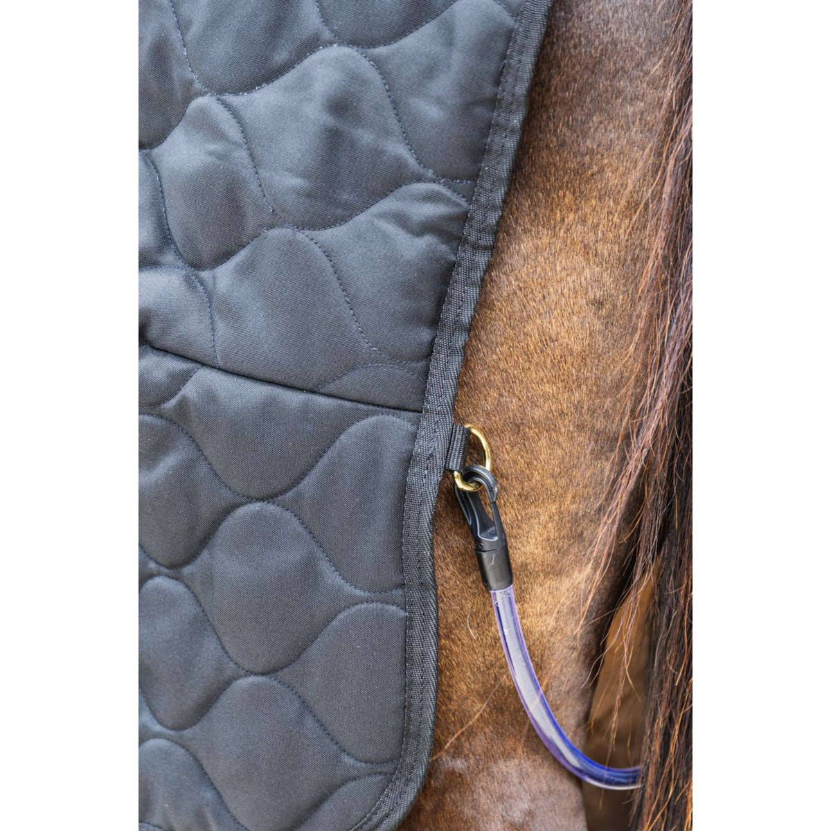 Kentucky Staldeken Comfort 100g Zwart