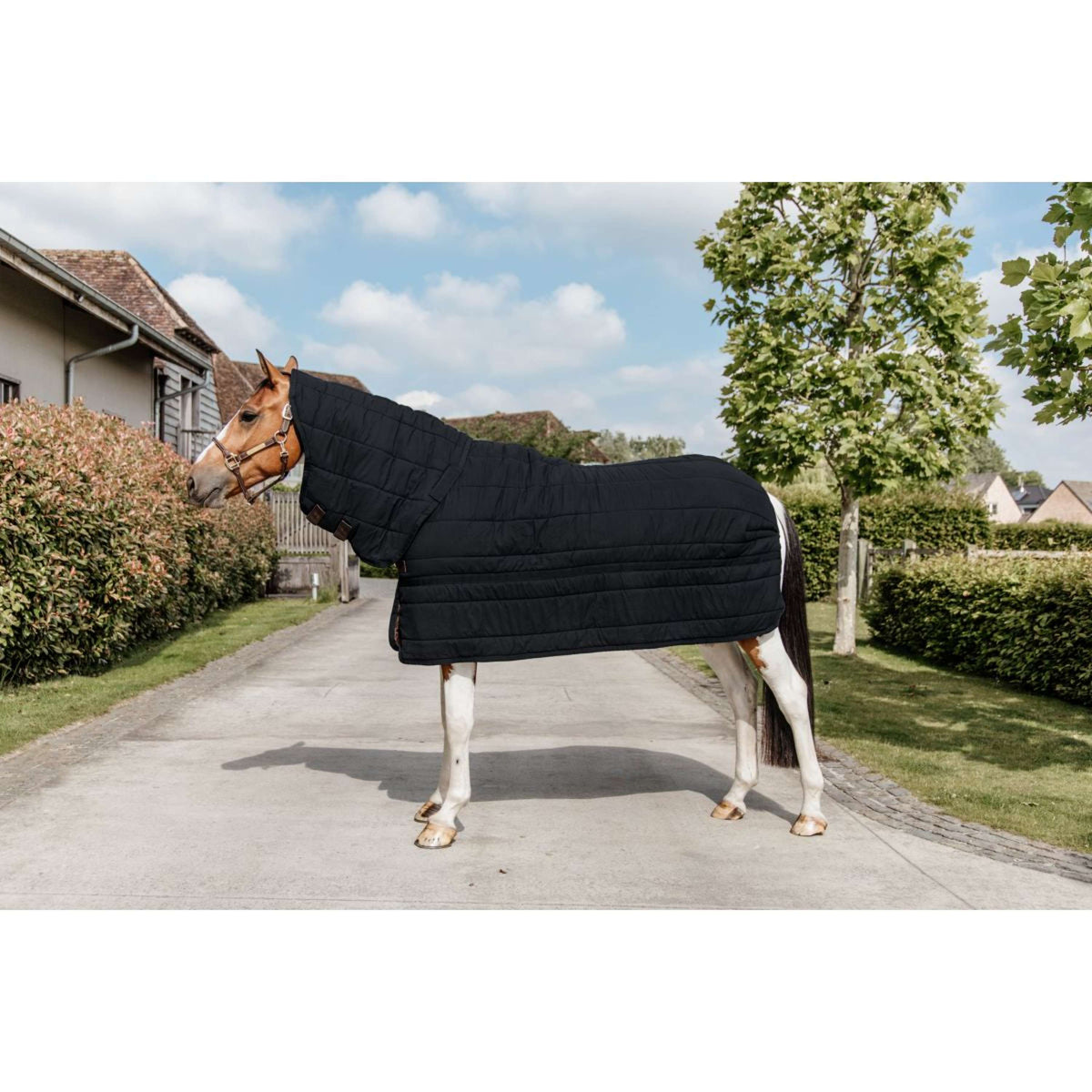 Kentucky Onderdeken Skin Friendly Neck 150g Zwart