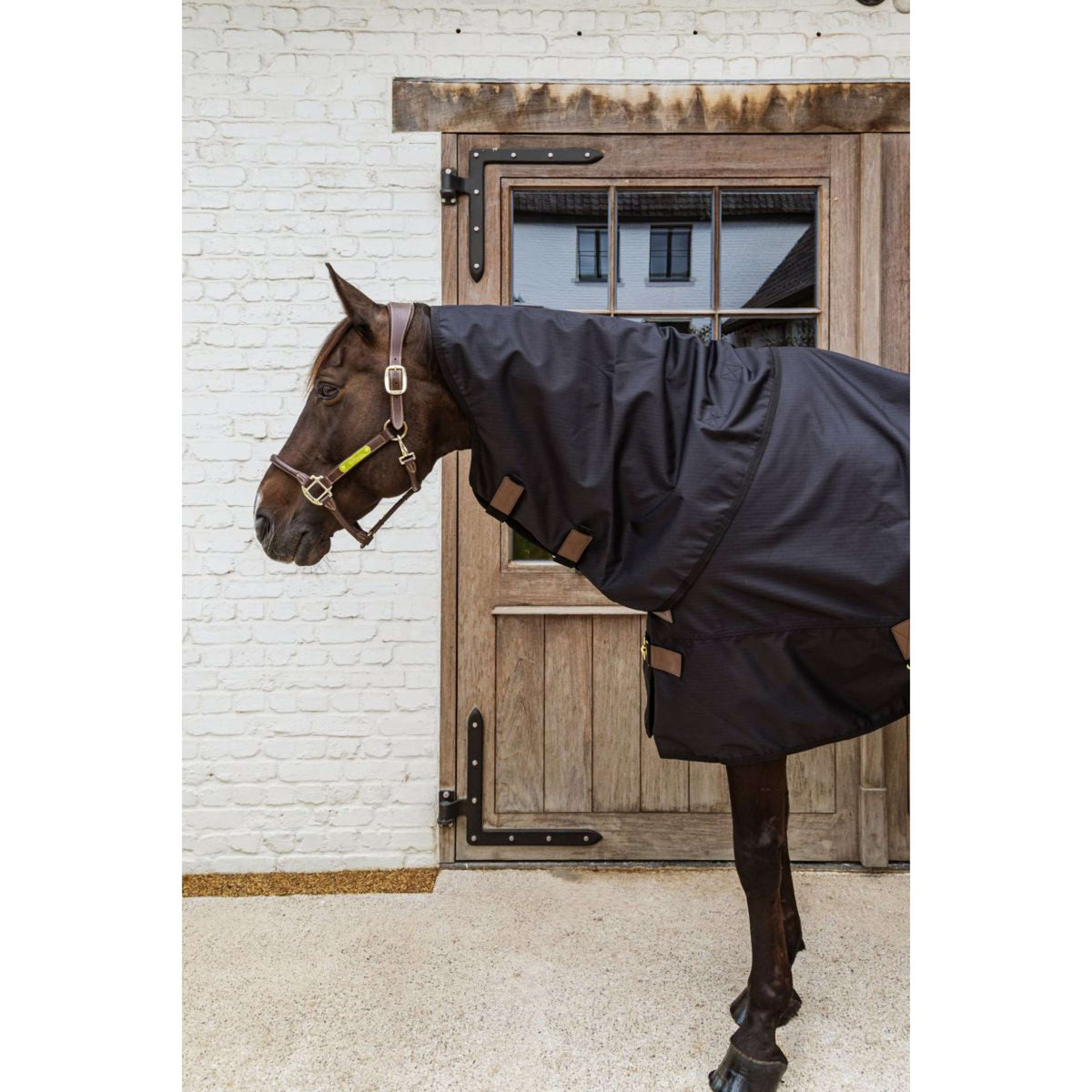 Kentucky Halsstuk All Weather Waterproof Comfort 0g Zwart