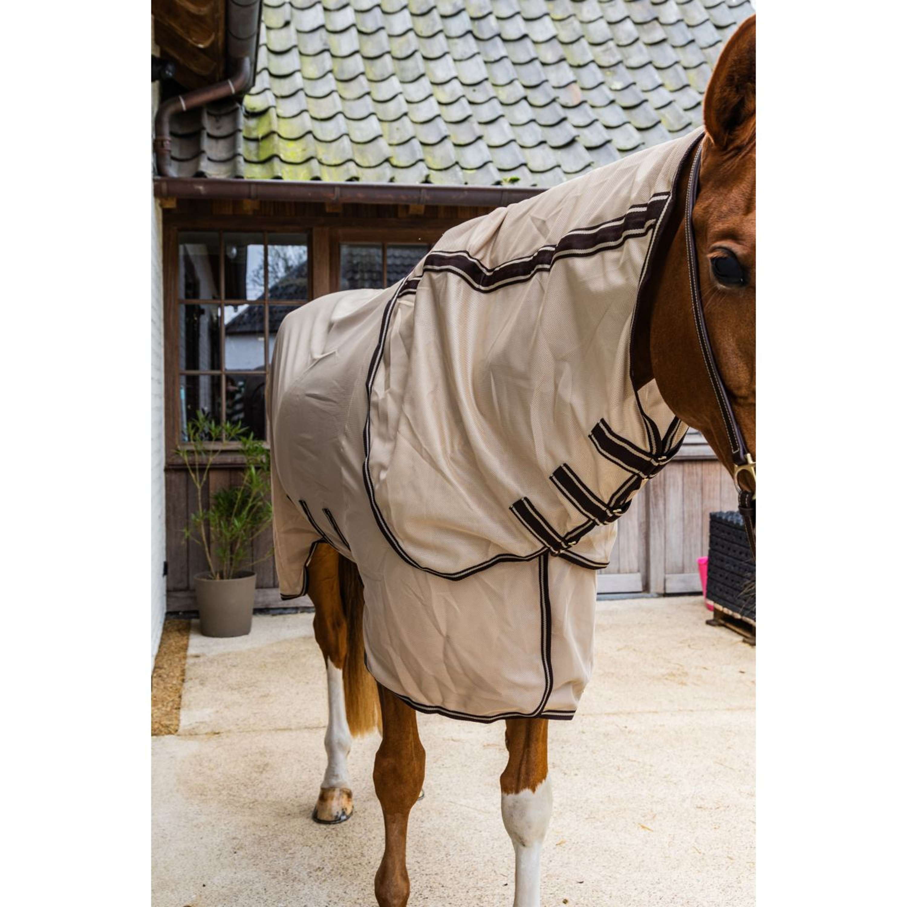 Kentucky Vliegendeken Comfort Mesh Beige/Bruin