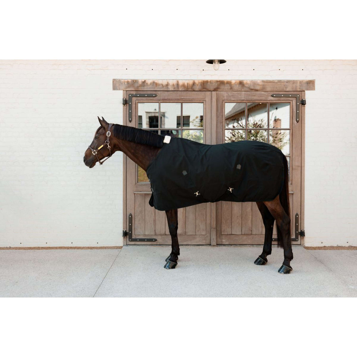 Kentucky Canvas Sheet Zwart