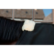 Kentucky Canvas Sheet Zwart