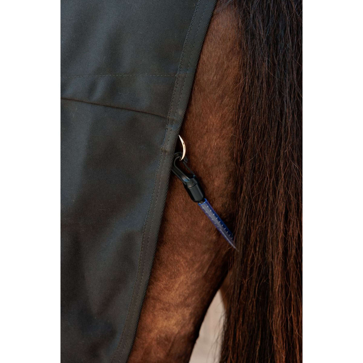 Kentucky Canvas Sheet Zwart