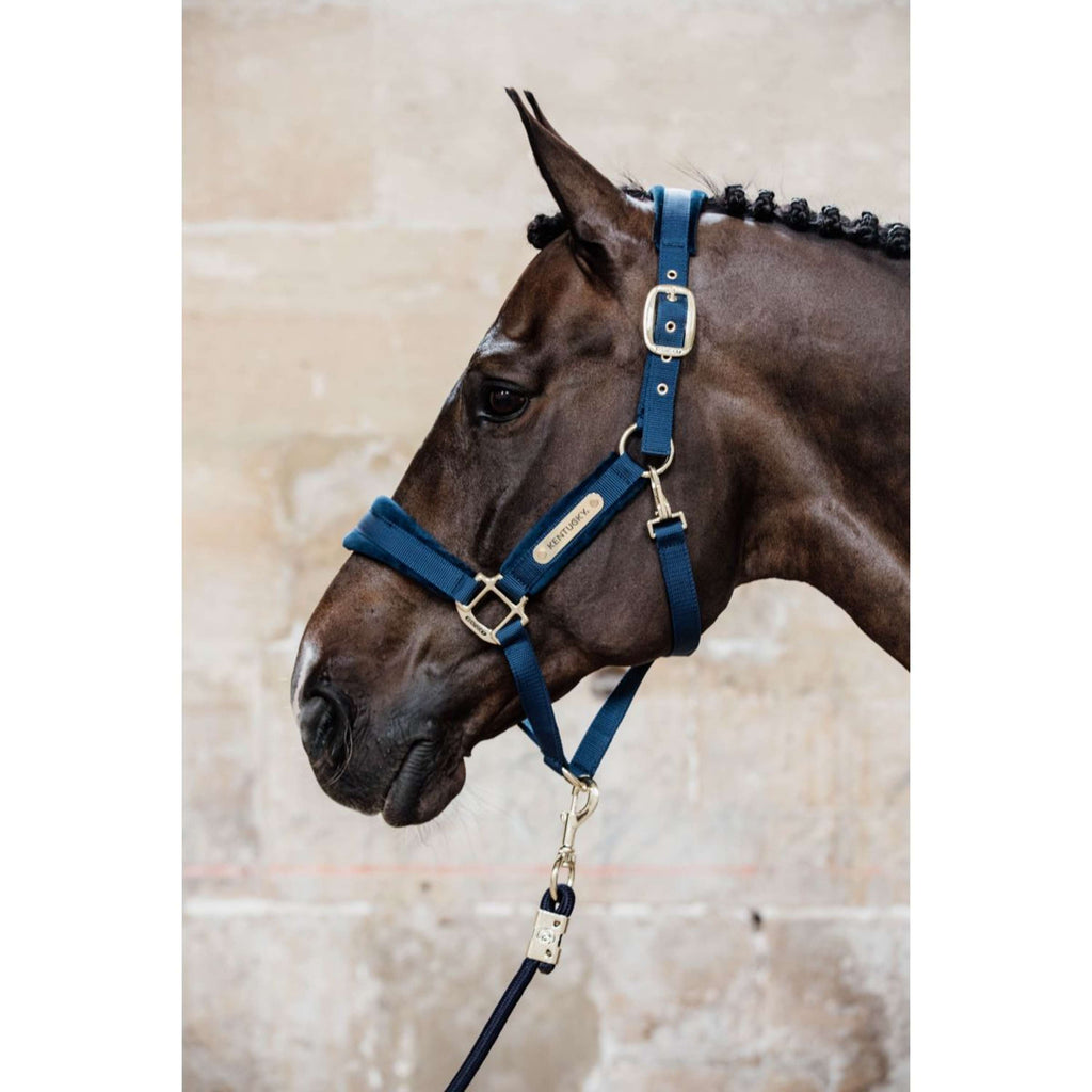 Kentucky Halster Velvet Navy