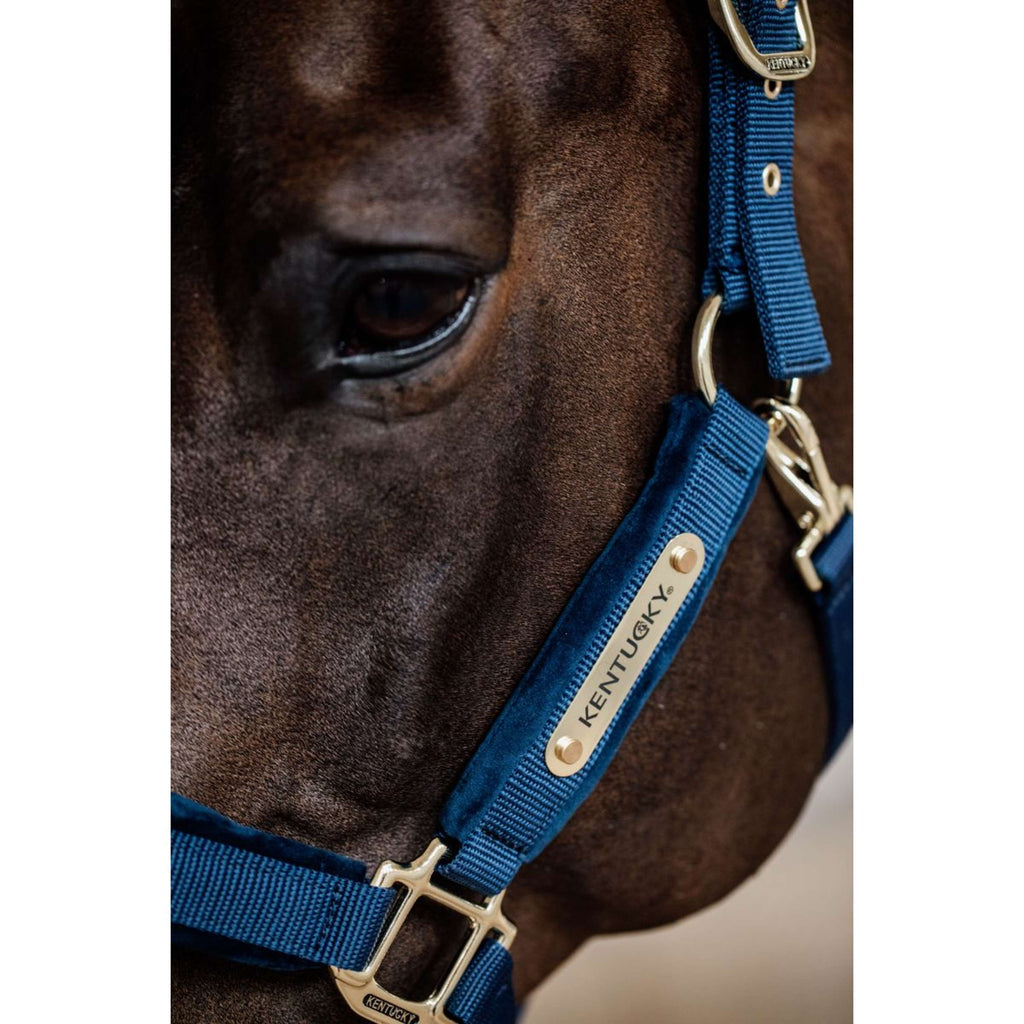 Kentucky Halster Velvet Navy
